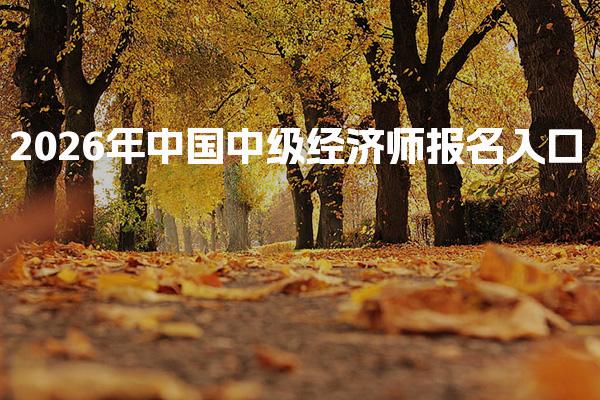 2026年中国中级经济师报名入口 指南与注意事项