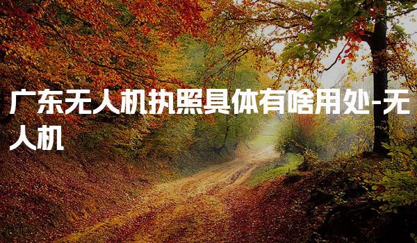 广东无人机执照具体有啥用处 报考条件流程