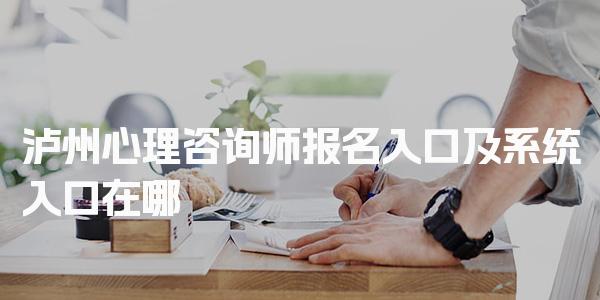 泸州心理咨询师报名入口及网址 系统入口在哪