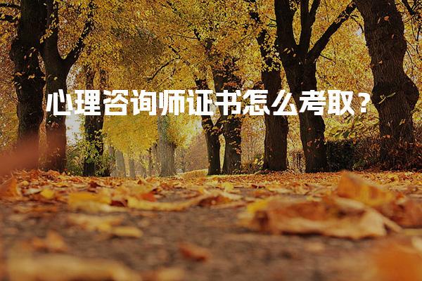 心理咨询师证书怎么考取？流程与费用解析