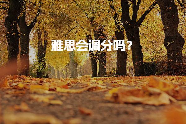 雅思会调分吗？评分机制说明