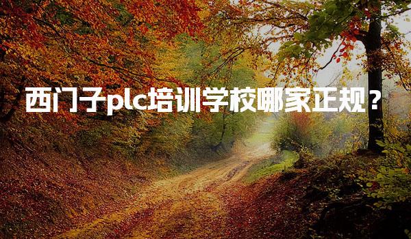 西门子plc培训学校哪家正规？-PLC自动化工程师