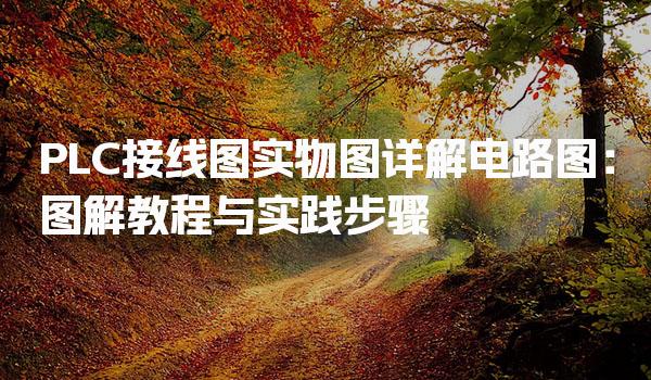 PLC接线图实物图详解电路图：图解教程与实践步骤-PLC自动化工程师