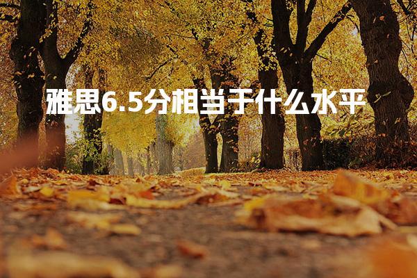 雅思6.5分相當于什么水平