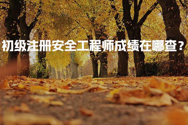 2026年初级注册安全工程师成绩在哪查？最新查询指南