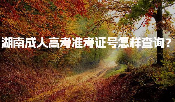 湖南成人高考准考证号怎样查询？