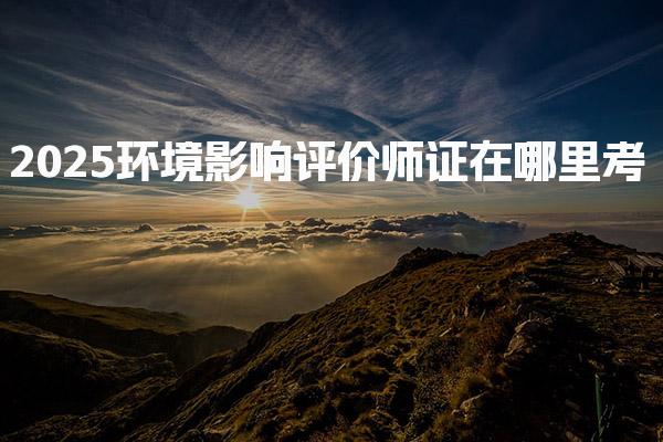 2025环境影响评价师证在哪里考，可以补考吗