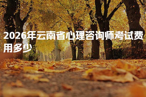2026年云南省心理咨询师考试费用多少