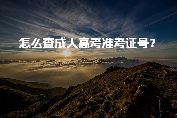 怎么查成人高考准考证号？官方电话及现场查询