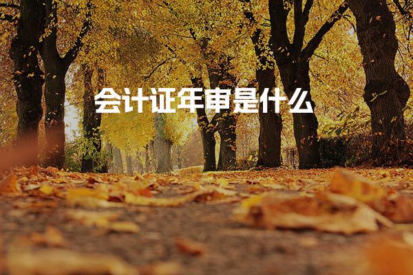 会计证年审是什么 所需材料与执行流程