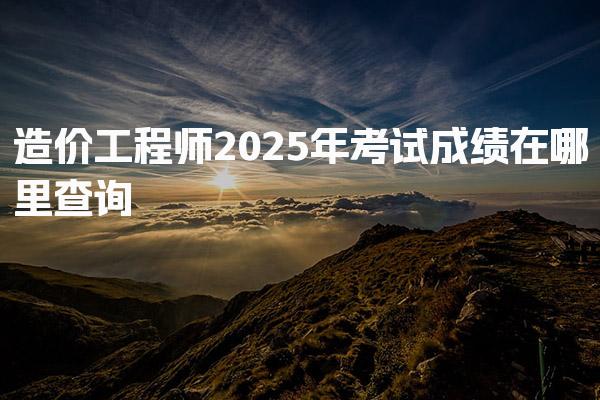 2025年造价工程师考试成绩在哪里查询