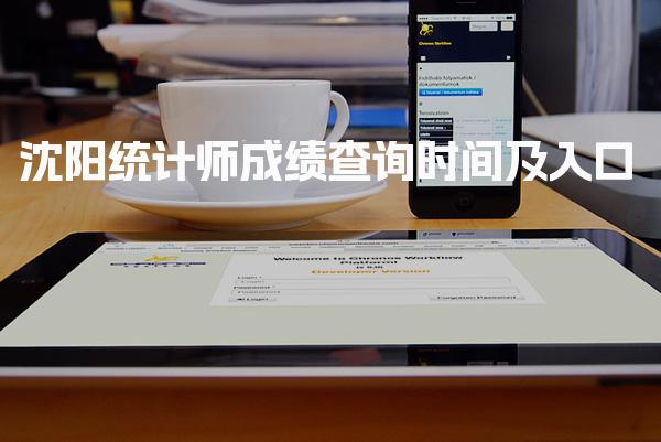 沈阳统计师2025年成绩查询时间及入口