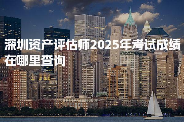 2025年深圳资产评估师考试成绩在哪里查询