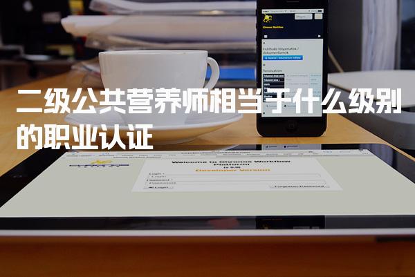 二级公共营养师相当于什么级别的职业认证