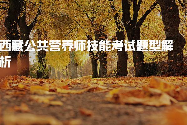2026年西藏公共营养师技能考试题型解析