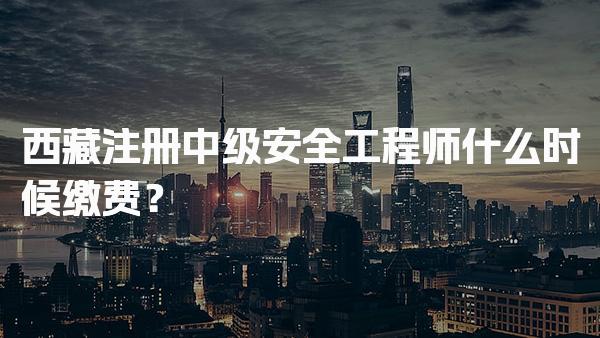 2026年西藏注册中级安全工程师什么时候缴费？缴费时间与流程解析