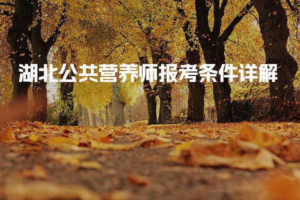 2026年湖北公共营养师报考条件详解
