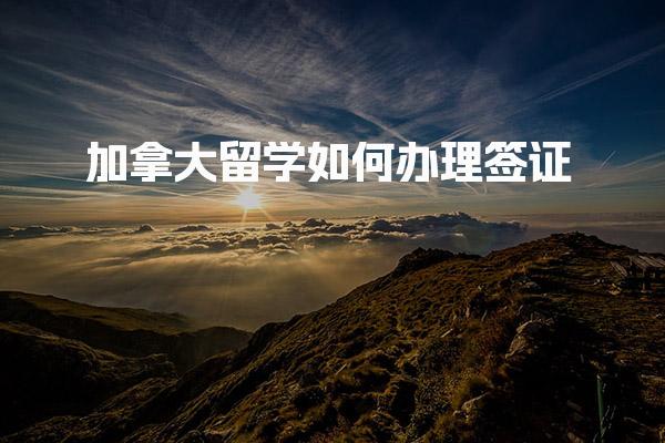 加拿大留学如何办理签证申请的必备条件