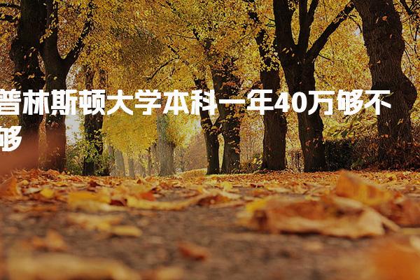 普林斯顿大学本科一年40万够不够