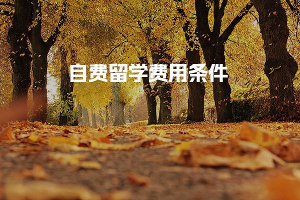 自费留学费用条件 留学规划参考