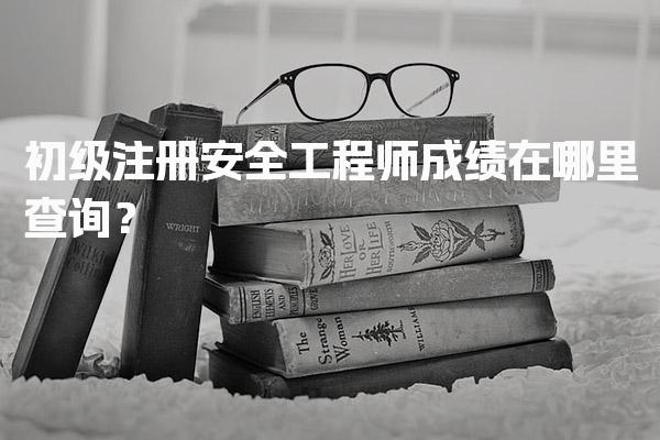初级注册安全工程师成绩在哪里查询？