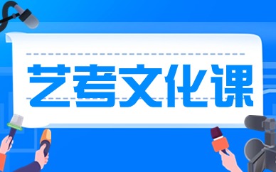 合肥政務(wù)區(qū)藝考文化課沖刺輔導(dǎo)班