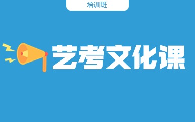 深圳南山區(qū)藝考文化課輔導(dǎo)班